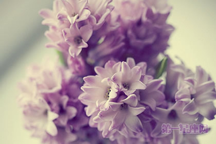 看病人不适合送什么花?