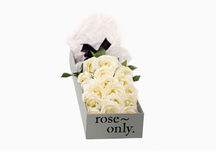 白玫瑰花语是什么