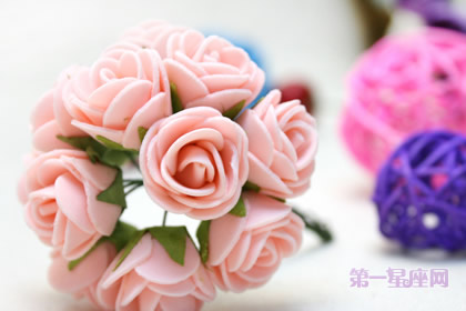 节日花语:拜年送什么花?