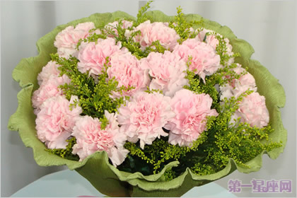 母亲节送几朵康乃馨好