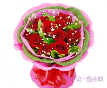 道歉送花，道歉送什么花合适？