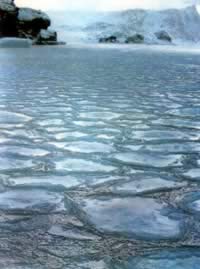 我国南极长城考察站建成(历史今天lsjt.org)