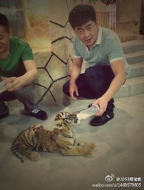 DJ阿宝的英文名