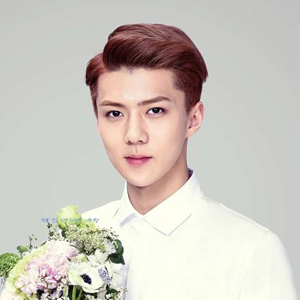 Oh Se Hun的英文名